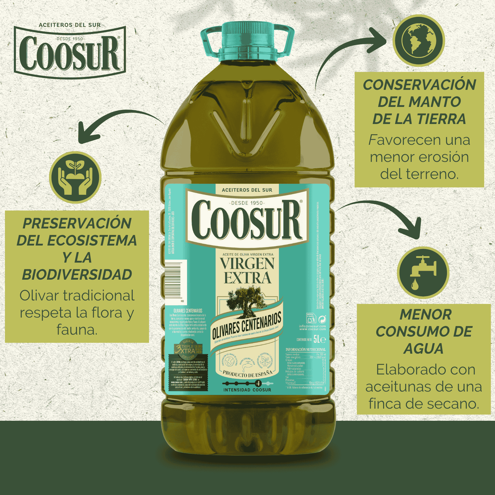 Aceite de oliva virgen extra Coosur 5L Olivares Centenarios - Image 3