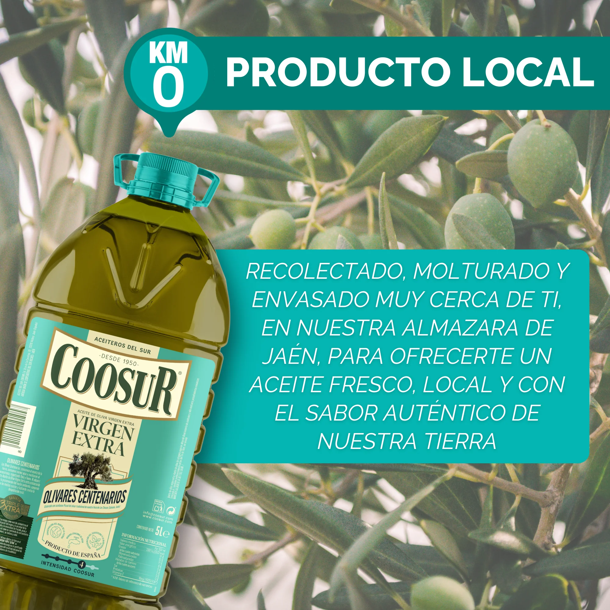 Aceite de oliva virgen extra Coosur 5L Olivares Centenarios - Image 4