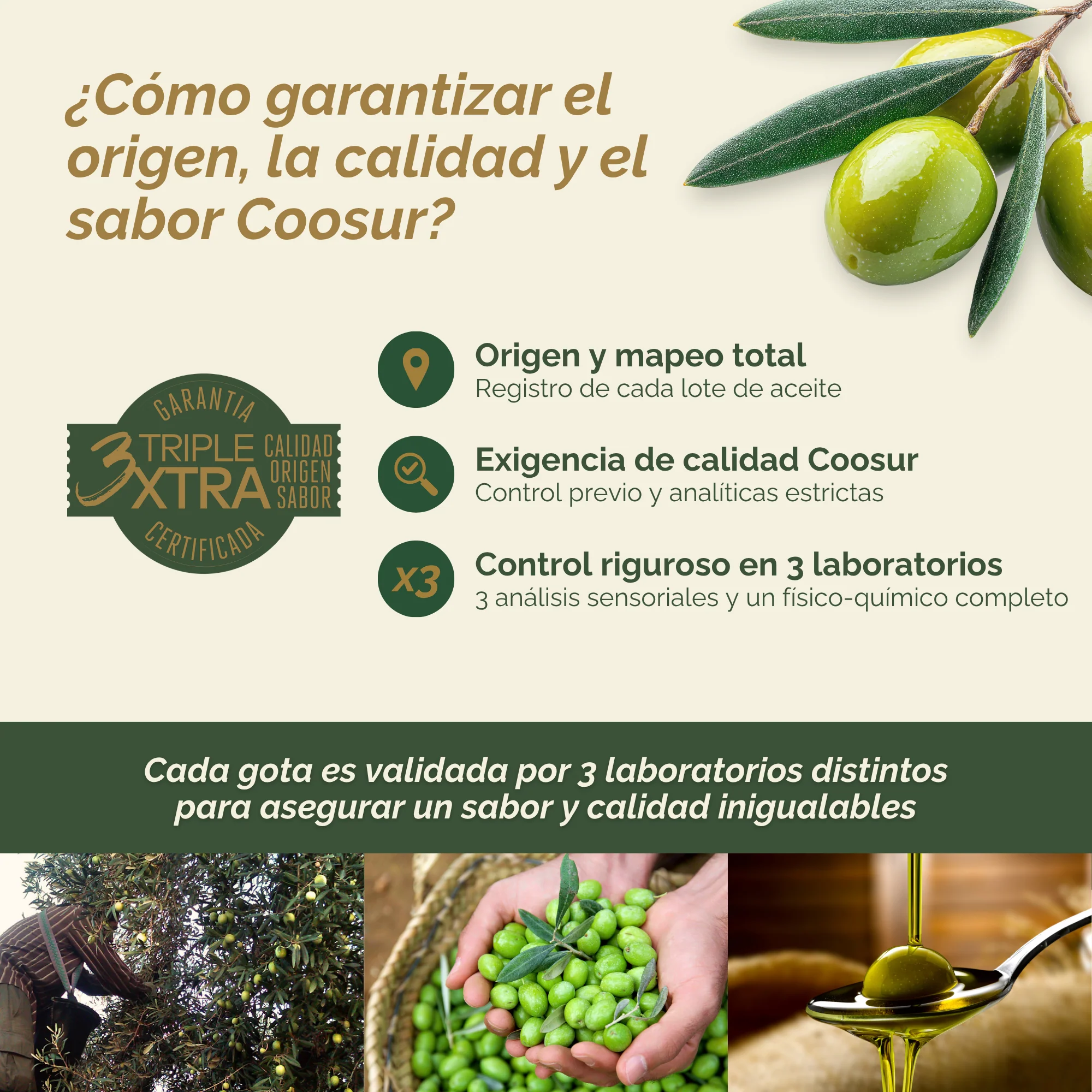 Garrafa Aceite de Oliva Virgen Extra Coosur 5LSelección - Image 3