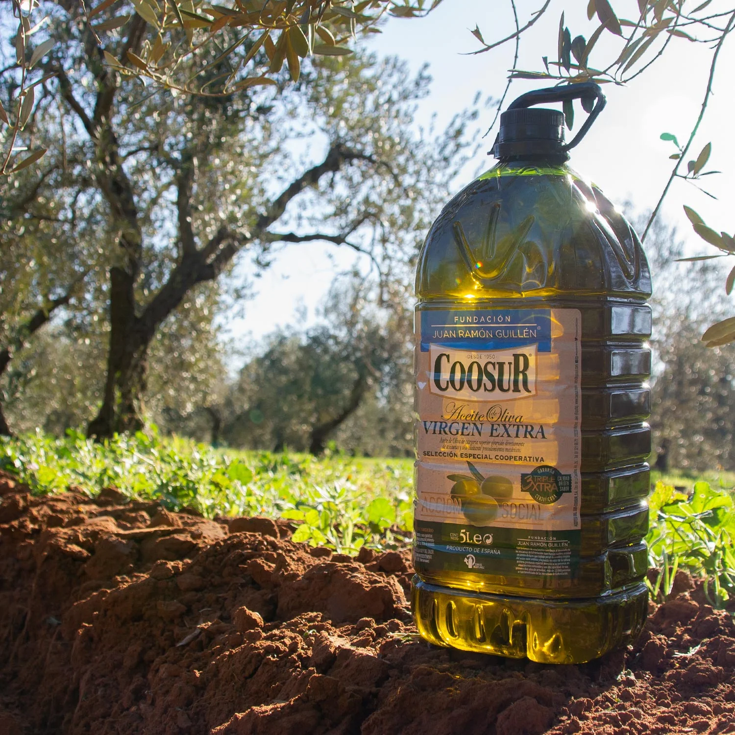 Aceite de Oliva Virgen Extra 5L Selección Cooperativa FJRG - Image 4