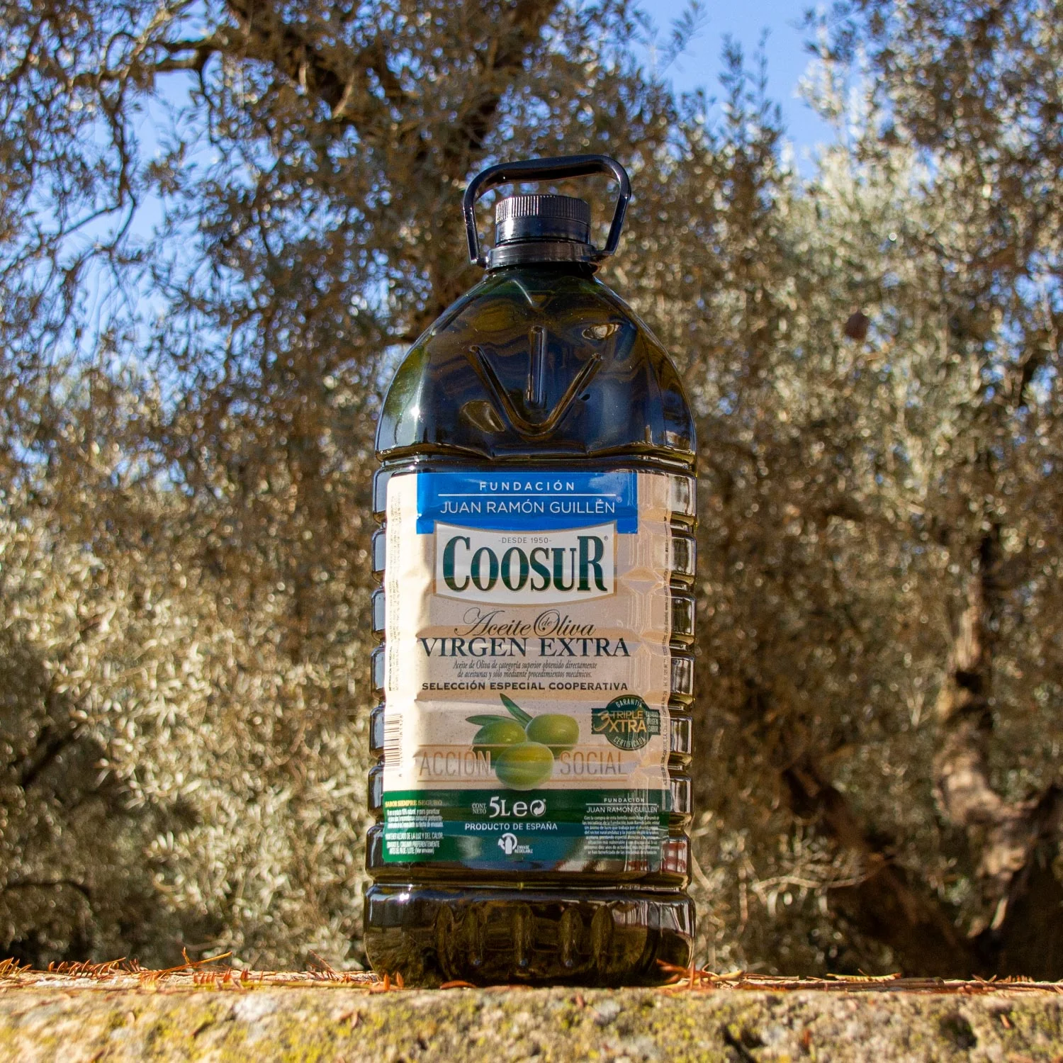 Aceite de Oliva Virgen Extra 5L Selección Cooperativa FJRG - Image 5